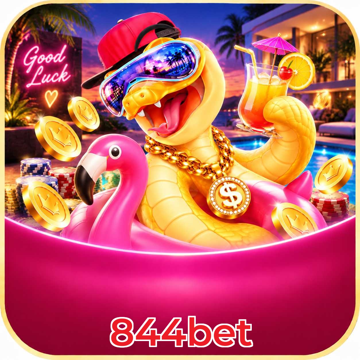 844bet Live Casino Overview